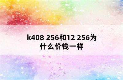 k408 256和12 256为什么价钱一样